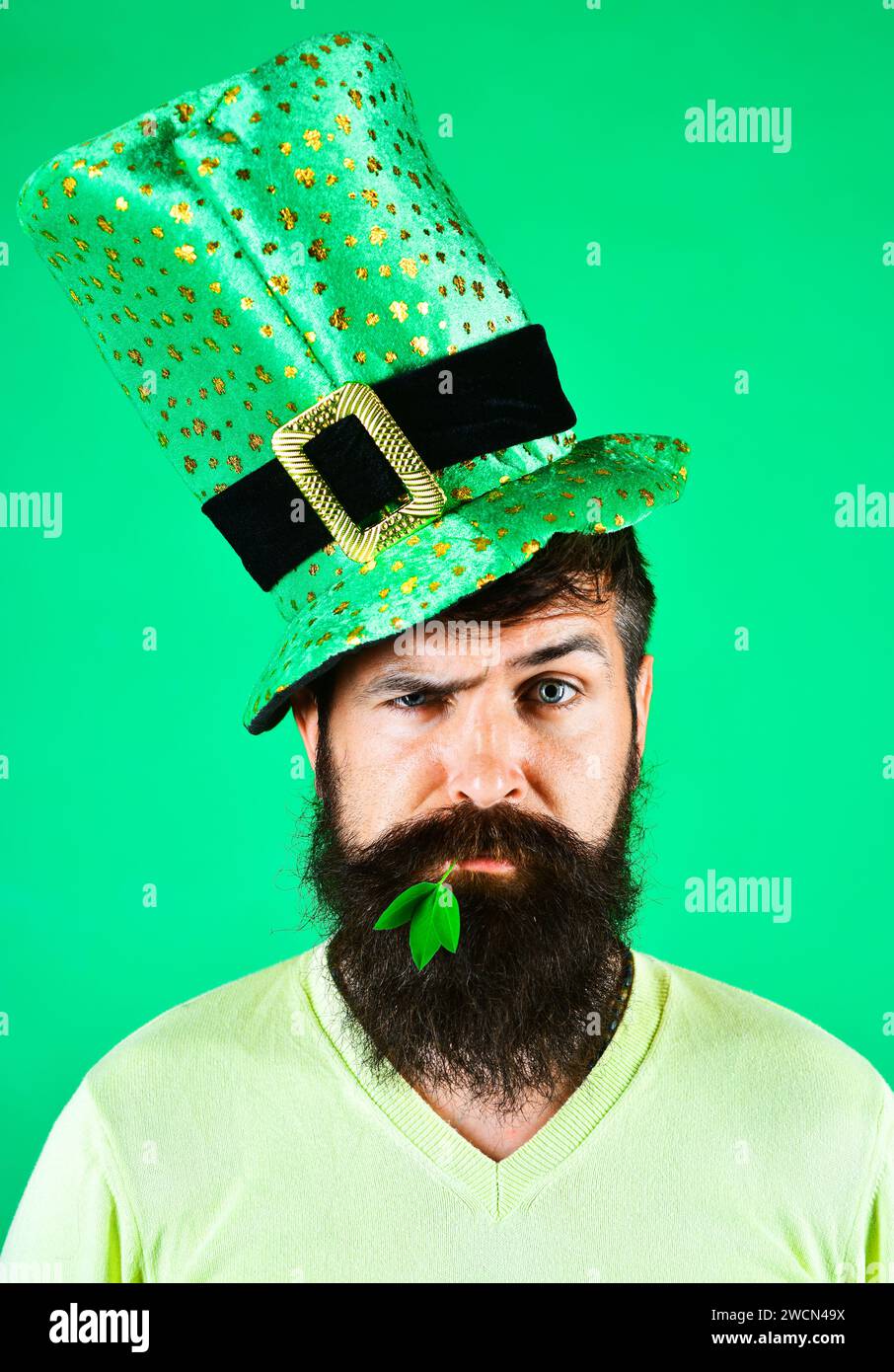 Homme barbu en chapeau haut de gamme vert avec trèfle dans la bouche. Fête de la Saint Patrick. Fête nationale irlandaise. Portrait en gros plan de l'homme sérieux dans Banque D'Images