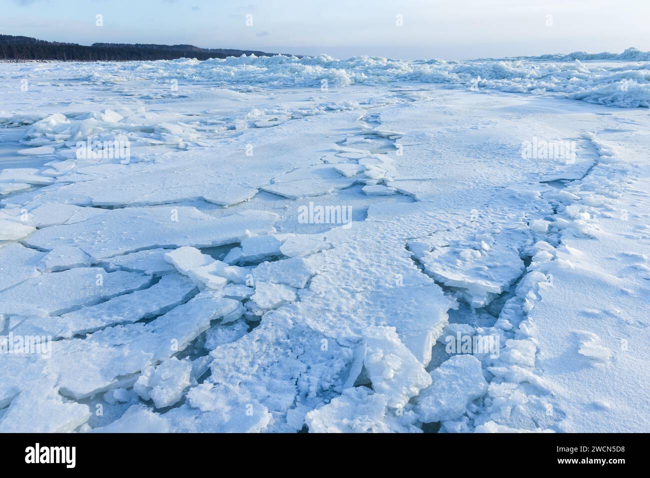 Bosses de glace couvertes de neige. Paysage avec côte de la mer Baltique gelée sur une journée d'hiver Banque D'Images