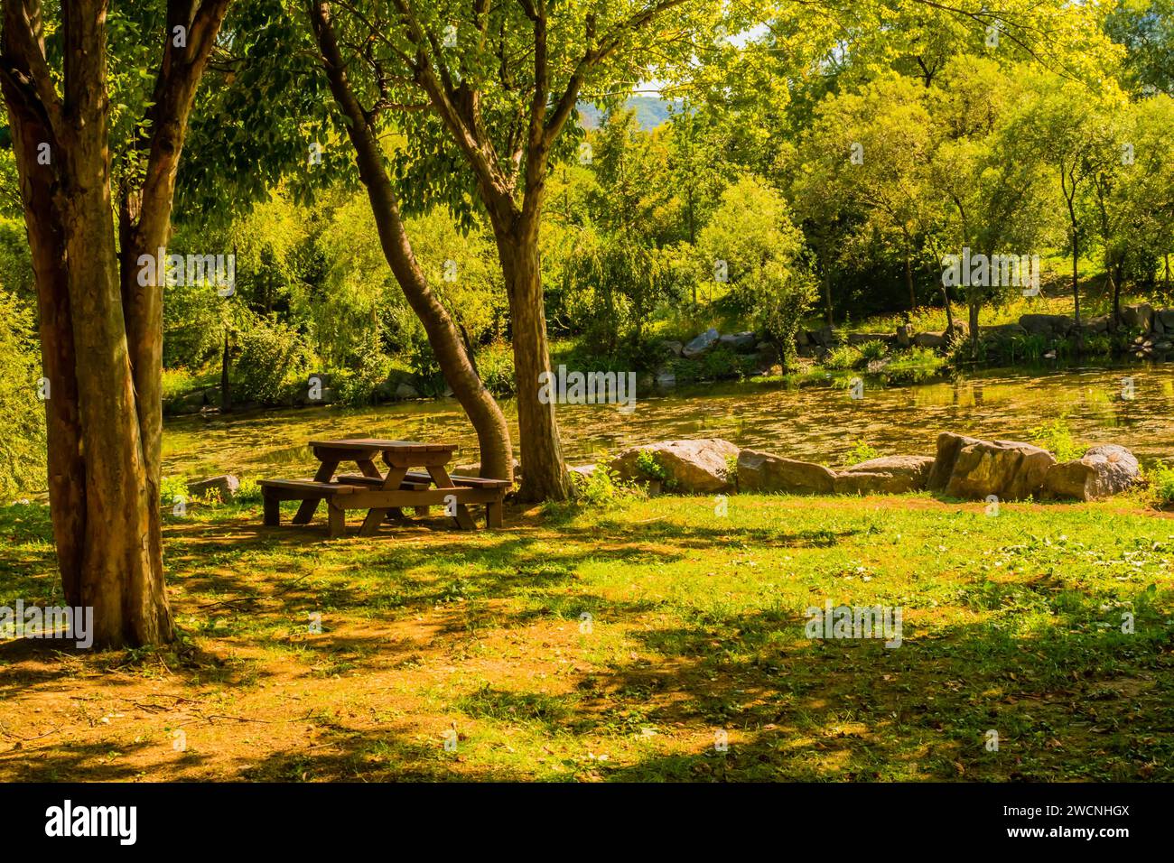 Table de pique-nique en bois assis sous l'arbre d'ombre dans le parc en face d'un petit lac en Corée du Sud Banque D'Images