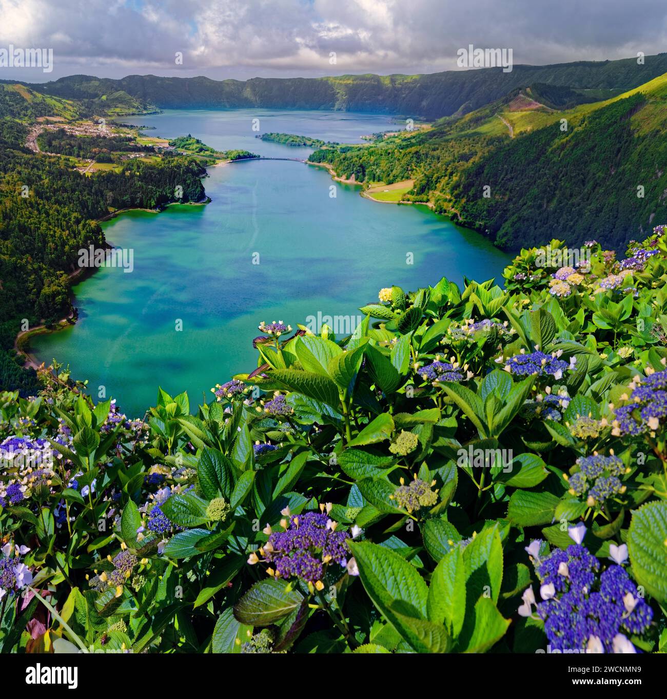 Vue imprenable sur les lacs de cratère Lagoa Verde et Lagoa Azul avec hortensias en fleurs au premier plan, sentier de randonnée circulaire cratère, Caldeira Banque D'Images