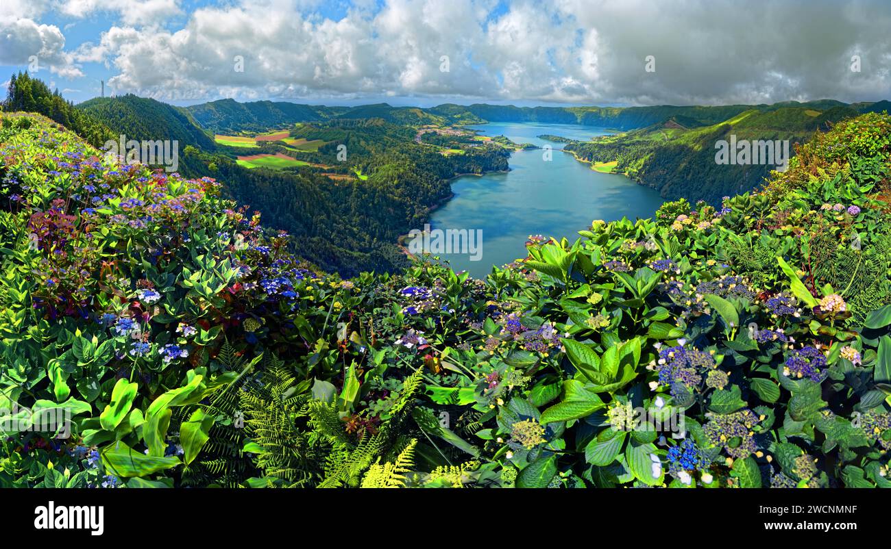 Vue panoramique sur les lacs de cratère pittoresques Lagoa Verde et Lagoa Azul entouré de verdure luxuriante et de fleurs d'hortensia, cratère circulaire Banque D'Images