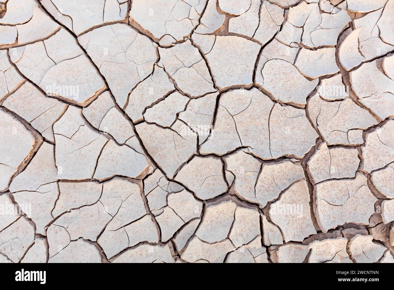 Terre sèche en Israël, Moyen-Orient, pénurie d'eau, sécheresse, Israël Banque D'Images