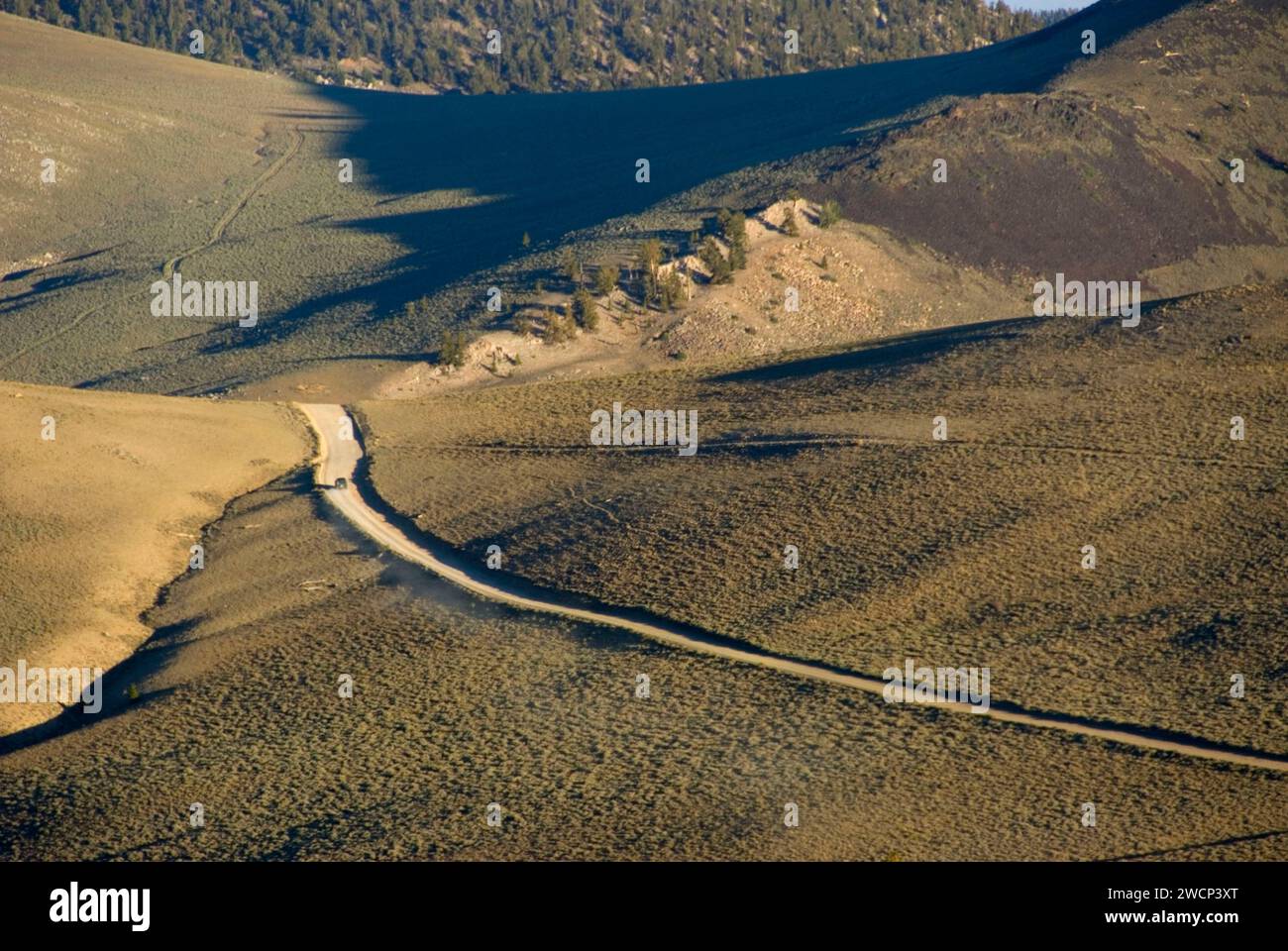 Ancient Bristlecone National Scenic Byway, Ancient Bristlecone Pine Forest, Inyo National Forest, Californie Banque D'Images