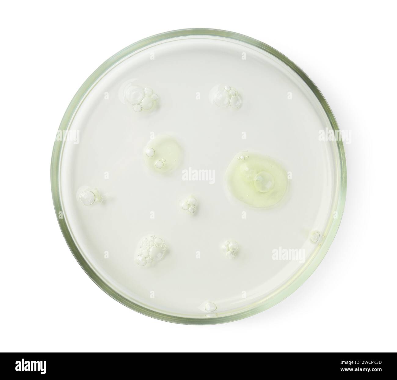 Boîte de Pétri avec échantillon liquide sur fond blanc, vue de dessus Banque D'Images