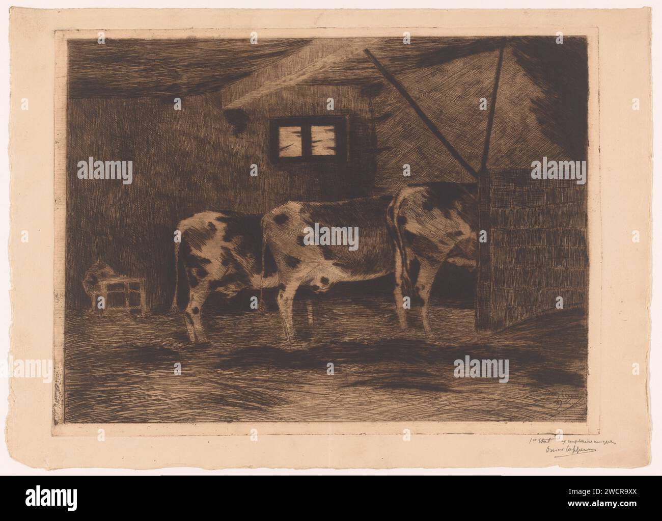 Trois vaches dans une étable, vue de derrière, Omer Coppens, 1887 gravures de papier d'impression / grange de point sec. vache Banque D'Images
