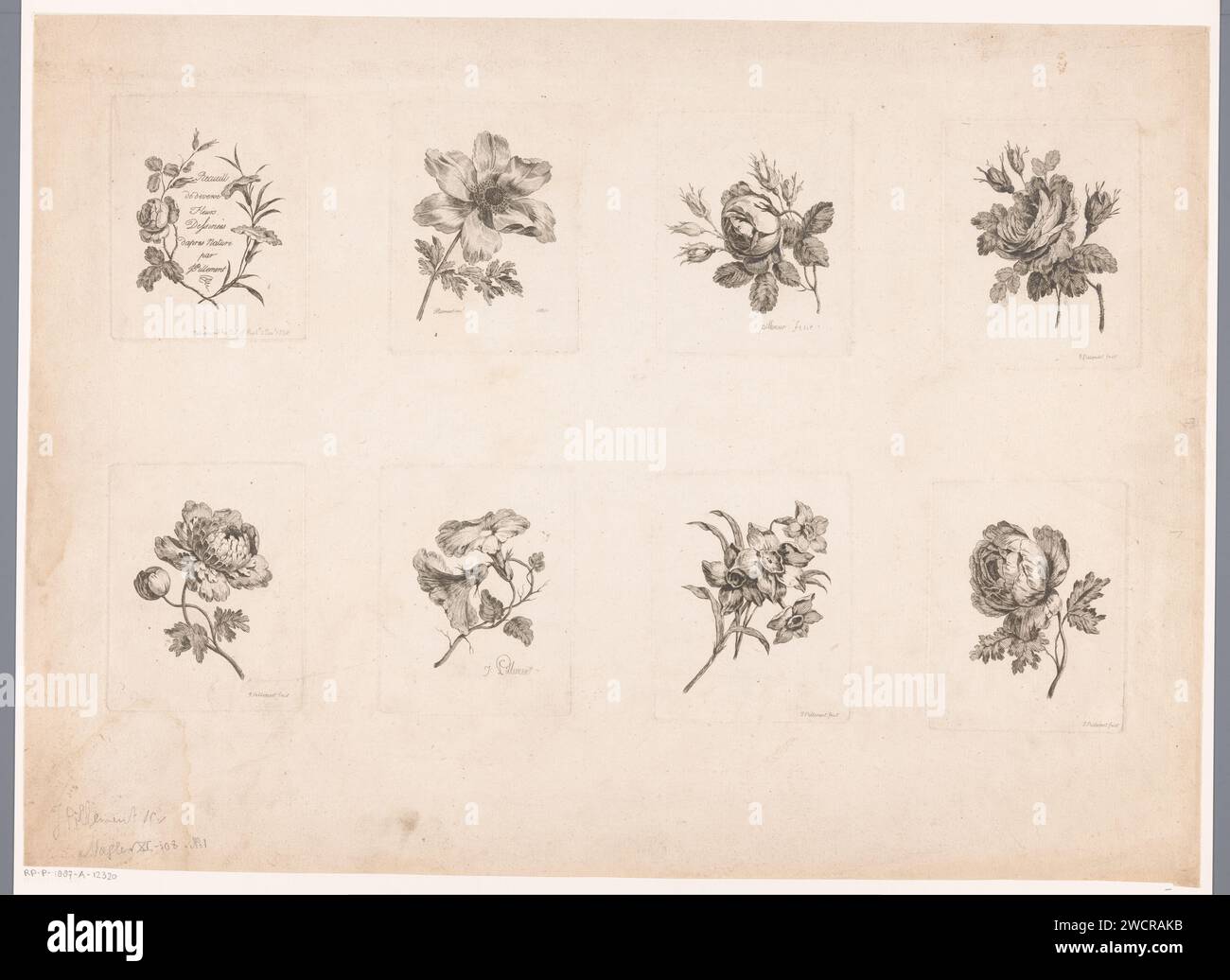 Titre de la série et sept fleurs, Jean Baptiste pillement, 1758 impriment huit estampes sur une feuille. Au-dessus du titre sériel avec une branche de rose et une branche avec des fleurs de trompette. En outre, et en dessous de trois et quatre fleurs différentes, y compris diverses roses. papier mordant des fleurs Banque D'Images