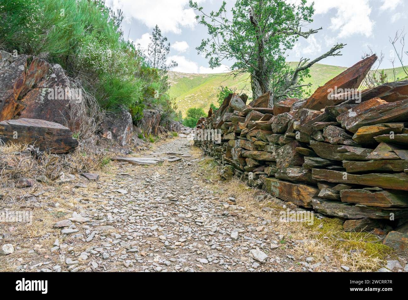 Chemin piétonnier d'Aldeia de Regoufe au village inhabité de Drave, le plus isolé du Portugal. Banque D'Images Chemin piétonnier d'Aldeia de Regoufe au village inhabité de Drave, le plus isolé du Portugal. Banque D'Images