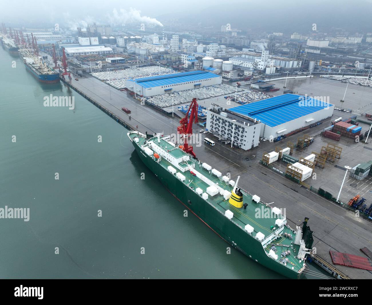 LIANYUNGANG, CHINE - 17 JANVIER 2024 - Un grand nombre de voitures sont prêtes à être expédiées pour l'exportation au port de Lianyungang, province de Jiangsu, Chine, Banque D'Images