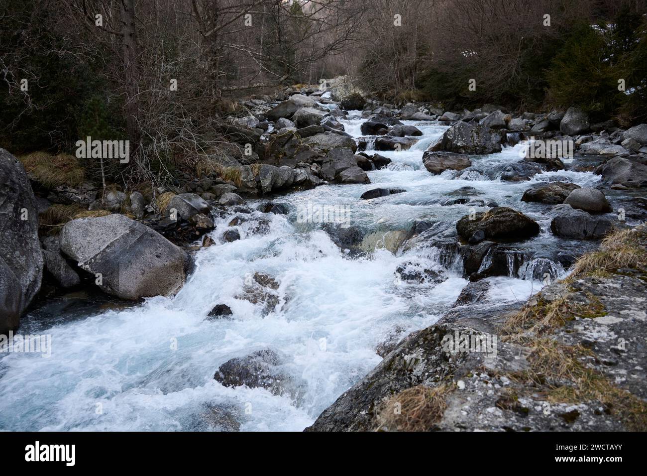 Un ruisseau de montagne à écoulement rapide tombe sur les rochers, entouré par la forêt sous un ciel nuageux Banque D'Images