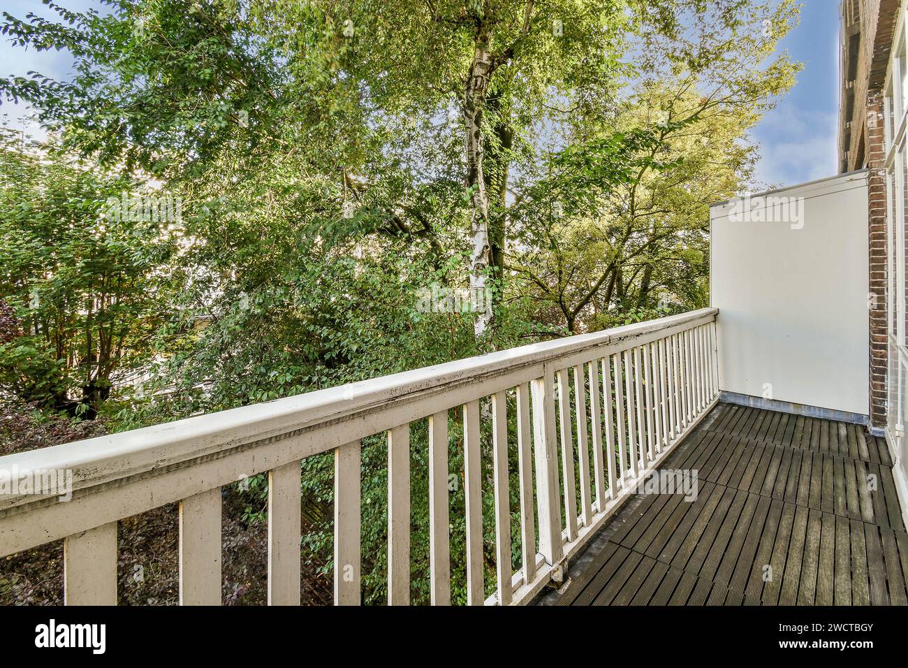 Un balcon serein donne sur un jardin animé avec une végétation luxuriante, présentant un espace extérieur relaxant. Banque D'Images