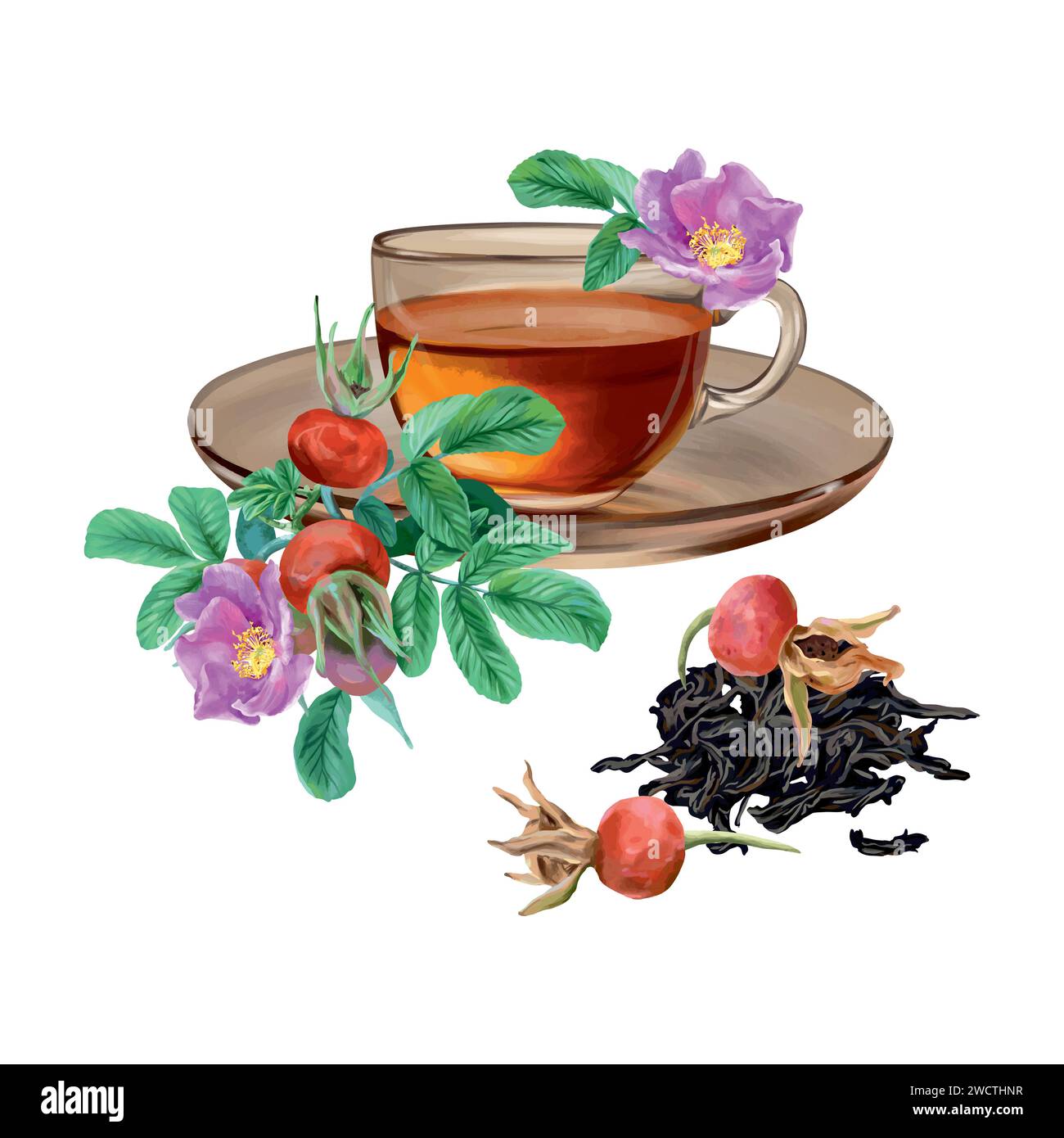Tasse de thé, rose musquée, feuilles de thé séchées. Illustration vectorielle dans le style graphique. Cartes, invitations, bannières printanières, emballages, couvertures, étiquettes, flyers. Illustration de Vecteur