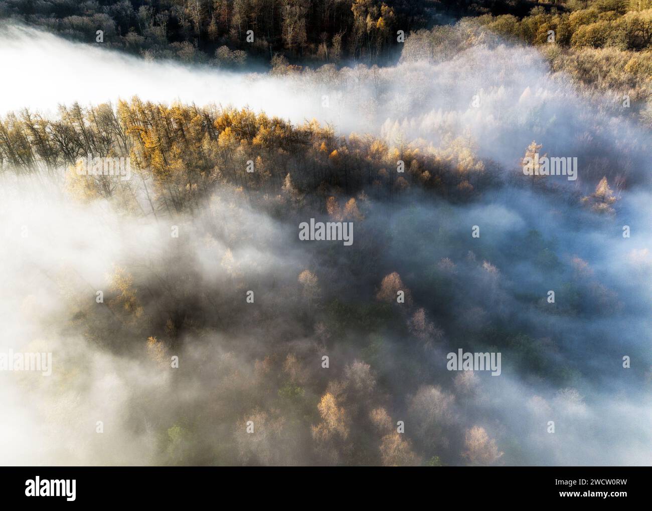 Vue drone du soleil se levant sur la forêt de brouillard - sunbeam Banque D'Images