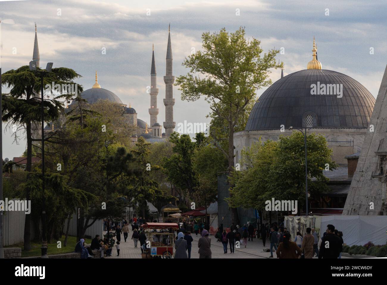 La Mosquée Bleue d'Istanbul, également connue sous le nom de Mosquée du Sultan Ahmed (Sultan Ahmet Camii), est une mosquée impériale historique de l'époque ottomane Banque D'Images