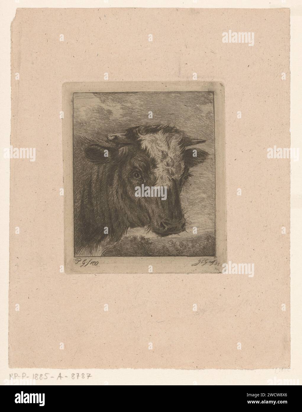 Tête d'une vache au kol blanc, Jacobus Cornelis Gaal, d'après Pieter Gaal, 1852 imprimer la vache à gravure sur papier de la Haye Banque D'Images