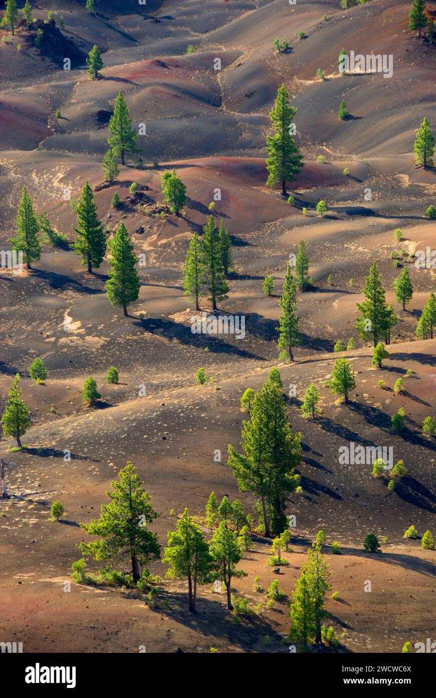 La coulée de lave de fantastique, cône de cendres volcaniques Lassen National Park, Californie Banque D'Images