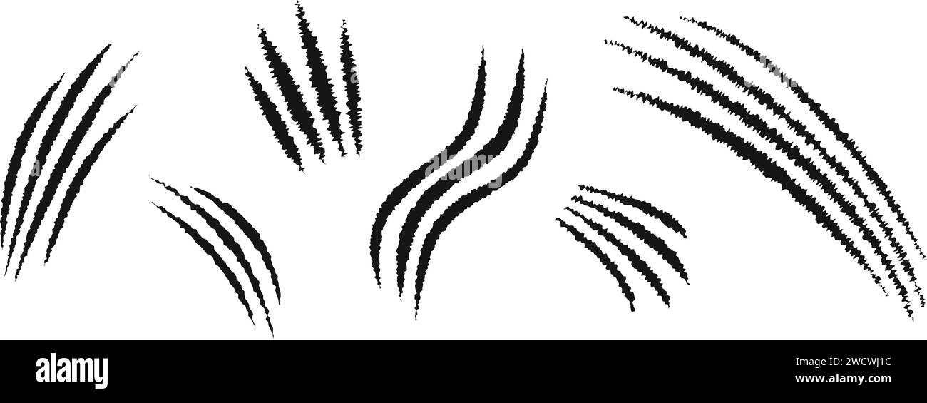 Ensemble de différentes marques de griffe à gratter. Tigre, ours, loup, panthère, monstre, traces de loup-garou isolées sur fond blanc. Cicatrices déchirées effrayantes. Les animaux sauvages rayent la piste. Illustration graphique vectorielle Illustration de Vecteur