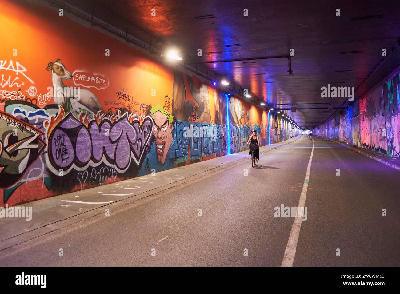 France, Paris, tunnel des Tuileries, route Street Art, art urbain sur les bords de Seine Banque D'Images