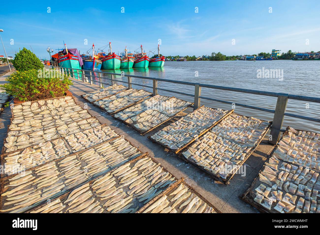 Vietnam, Delta du Mékong, My Tho, port de pêche sur le Mékong, séchage du poisson Banque D'Images
