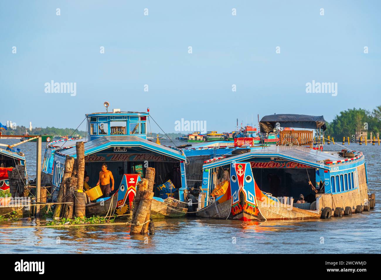 Vietnam, Delta du Mékong, My Tho, bateaux sur le Mékong Banque D'Images