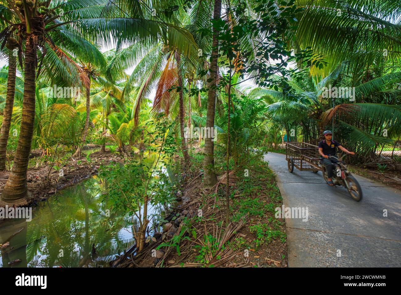 Vietnam, Delta du Mékong, province de Ben Tre, île de con OC Banque D'Images