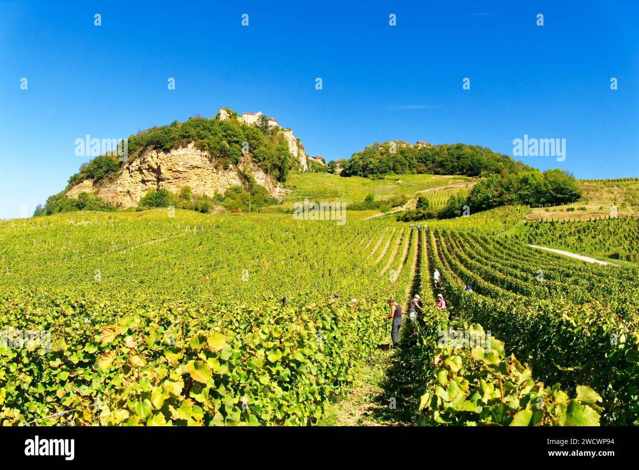 France, Jura, Château Chalon, étiqueté les plus Beaux villages de France (les plus beaux villages de France), sur un éperon rocheux dominant le vignoble AOC Château Chalon Banque D'Images