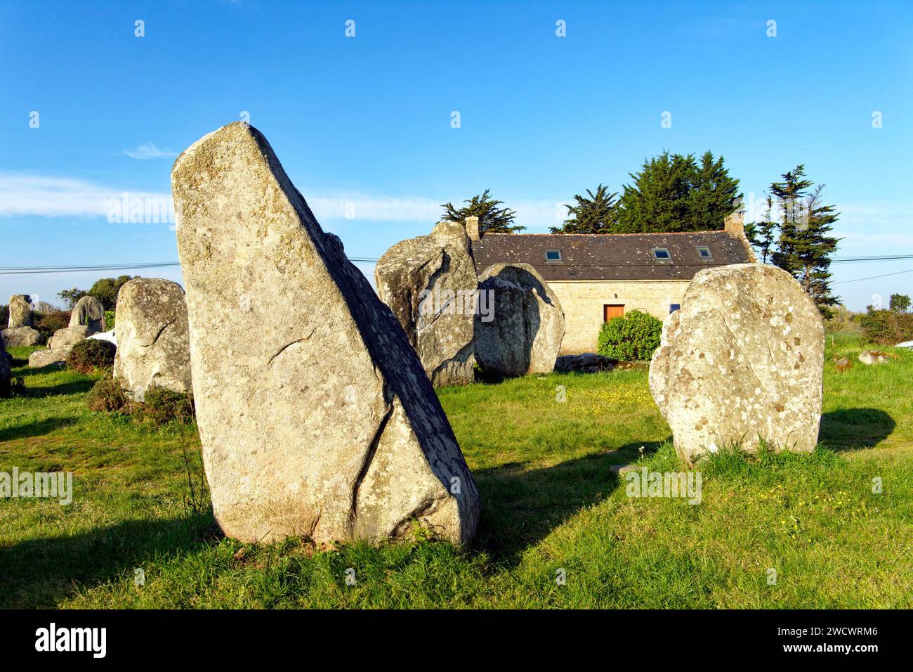 France, Morbihan, Erdeven, rangée de pierres mégalithiques de Kerzerho Banque D'Images