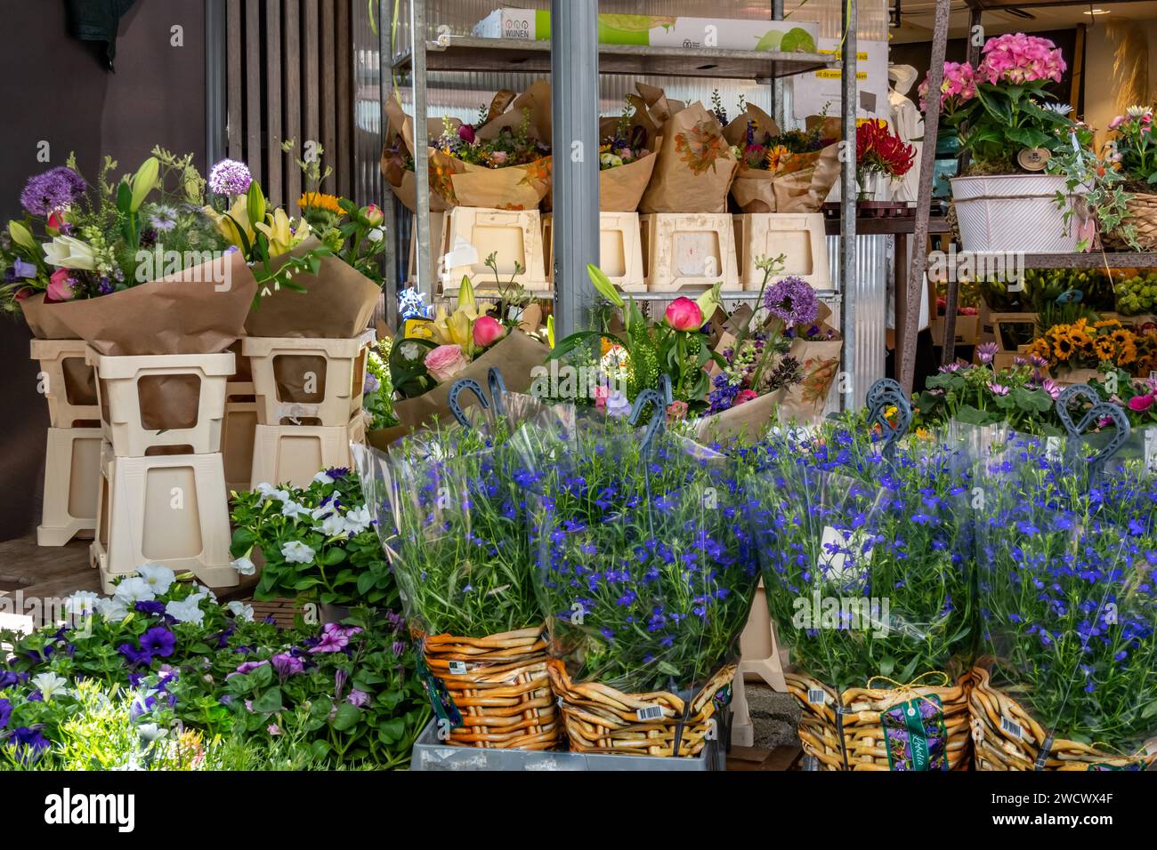 Présentation de vases avec fleurs, bouquets et plantes en pot dans un kiosque à fleurs dans le centre-ville de Hilversum, pays-Bas Banque D'Images