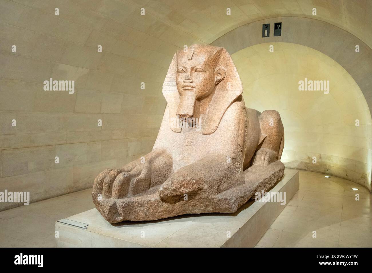France, Paris, zone classée au patrimoine mondial de l'UNESCO, Musée du Louvre, Tanis, Grand Sphinx Banque D'Images