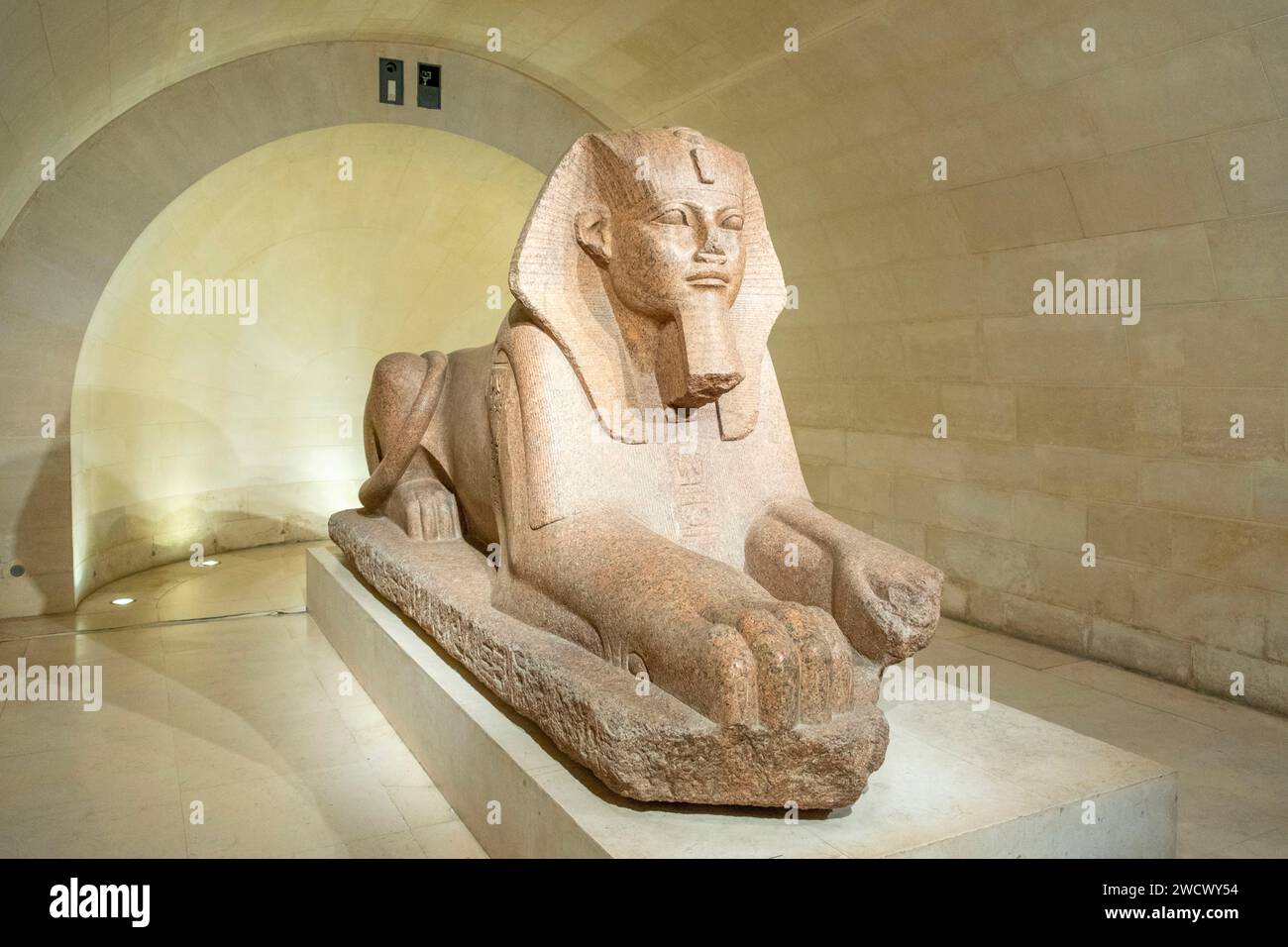 France, Paris, zone classée au patrimoine mondial de l'UNESCO, Musée du Louvre, Tanis, Grand Sphinx Banque D'Images