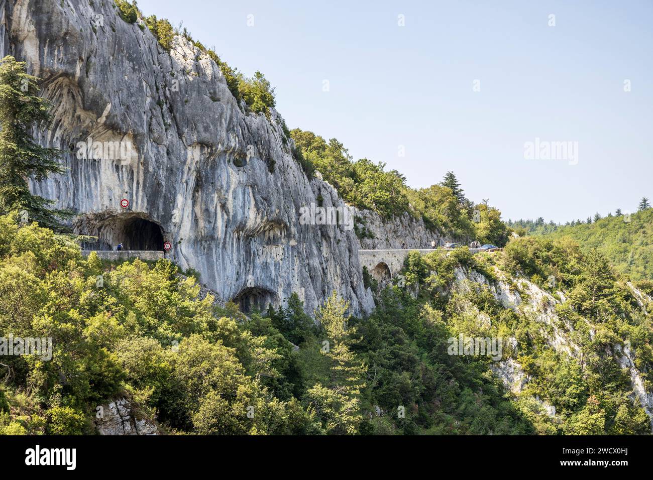 France, Vaucluse, Parc naturel régional du Mont Ventoux, Monieux, Gorges de la Nesque, tunnel sur la route D 942 entre Monieux et Villes-sur-Auzon Banque D'Images