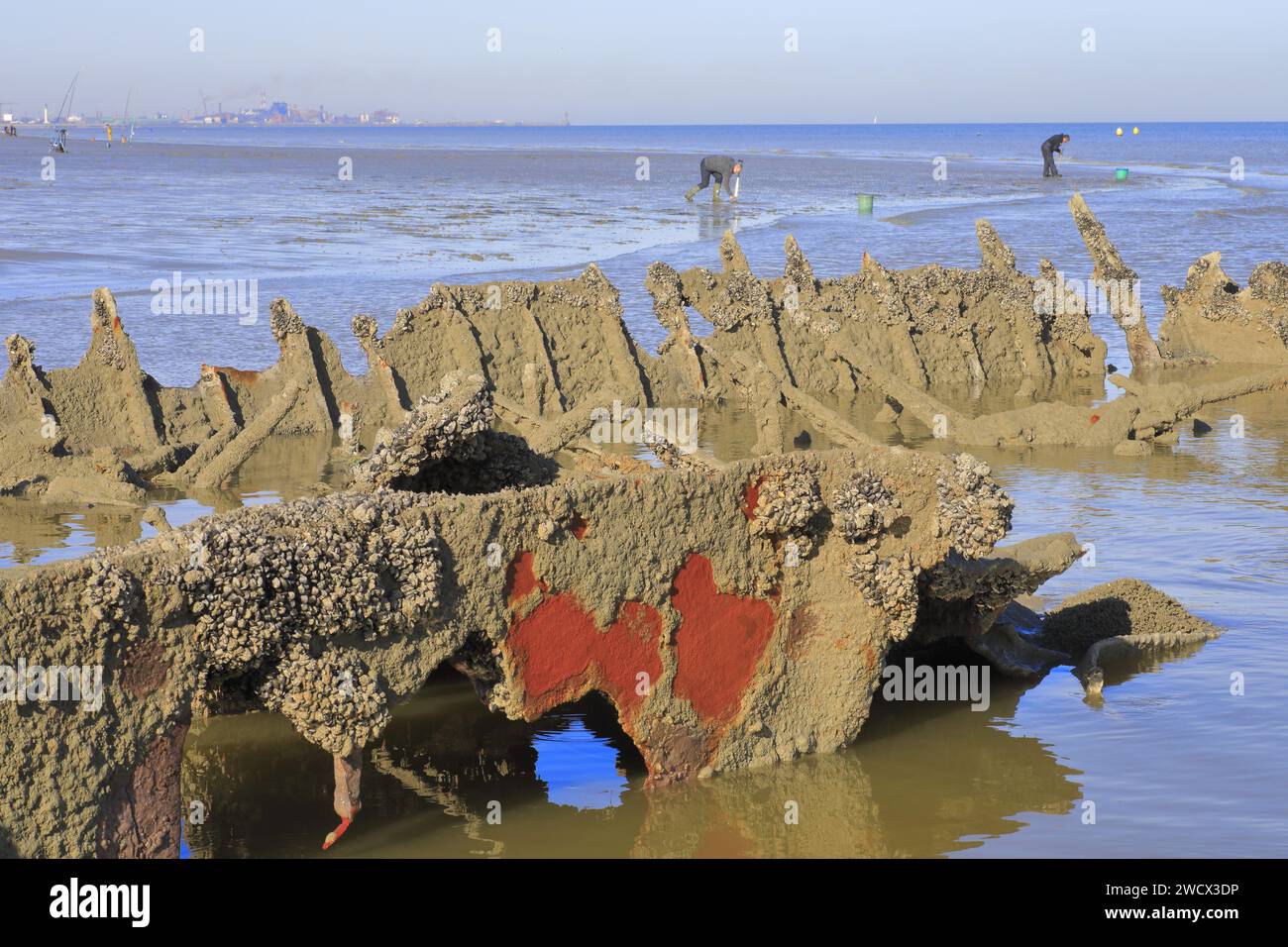 France, Nord, environs de Dunkerque, Bray-Dunes, épave du Crested Eagle (bateau à vapeur anglais qui a participé à l'opération Dynamo en 1940) sur les rives de la mer du Nord Banque D'Images