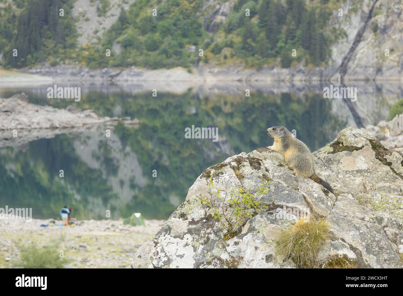 France, Isère (38), Bourg-d'Oisans, Lac du Lauvitel, le plus grand lac du Parc National des Ecrins (alt : 1530m) sur le GR 54, sentier de randonnée longue distance, Tour de l'Oisans et Ecrins Banque D'Images