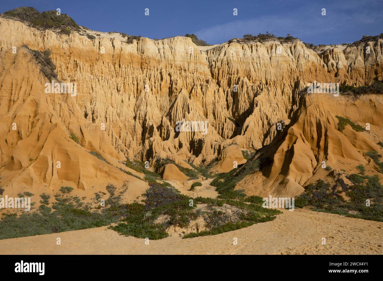 Portugal, Alentejo, plage de Gale Fontainhas, falaises fossiles d'ocre vieilles de cinq millions d'années Banque D'Images