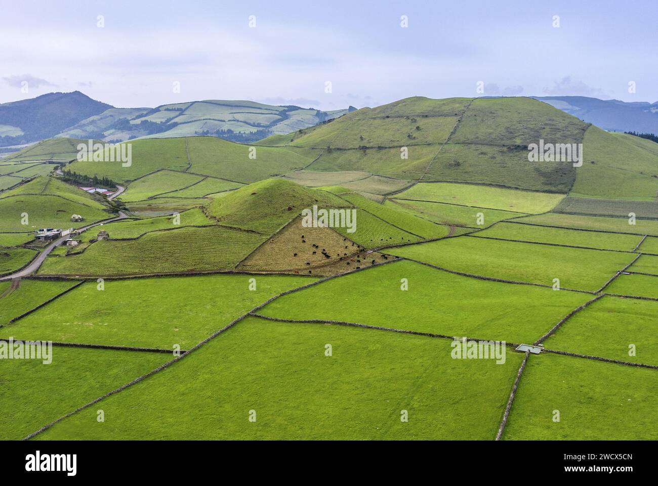 Portugal, archipel des Açores, île de Terceira, patchwork de pâturages verdoyants entourés de murs de pierres sèches au milieu d'anciens volcans Banque D'Images