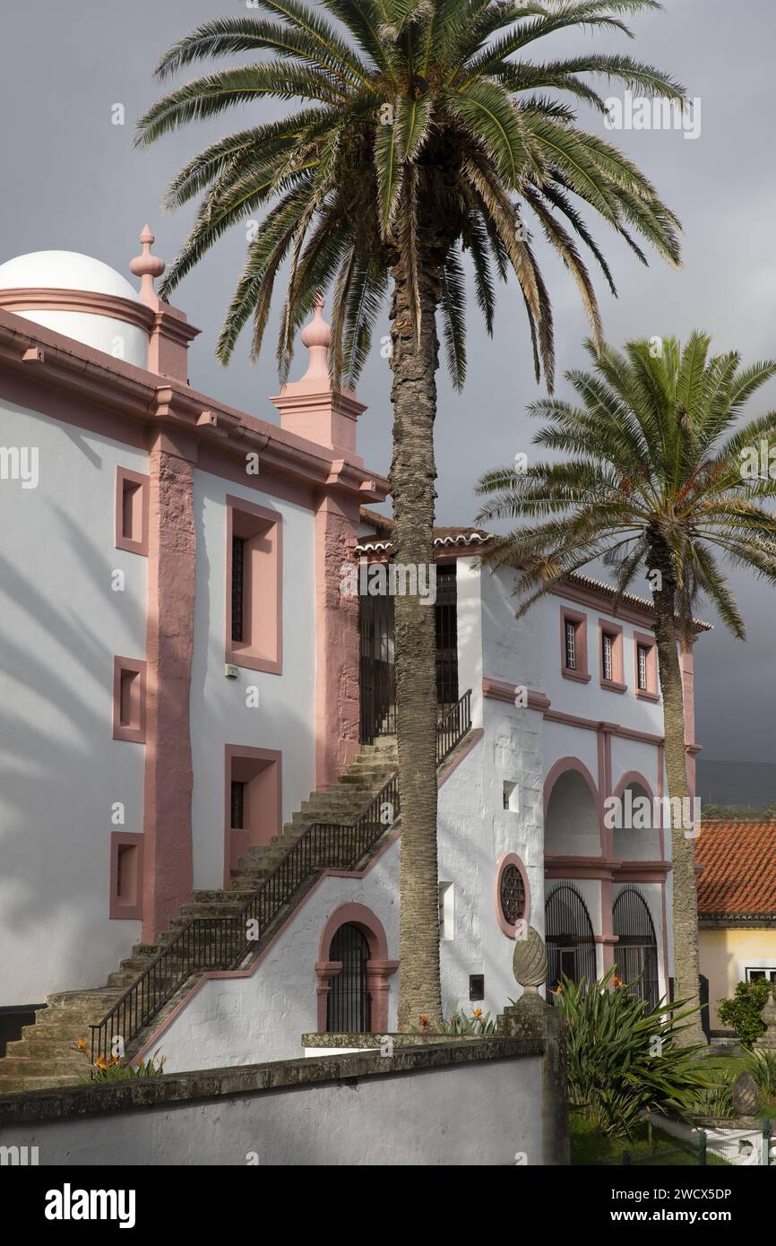 Portugal, archipel des Açores, île de Terceira, Angra do Heroismo, façade arrière de la cathédrale peinte en blanc et rose flanquée de grands palmiers dans le centre historique Banque D'Images