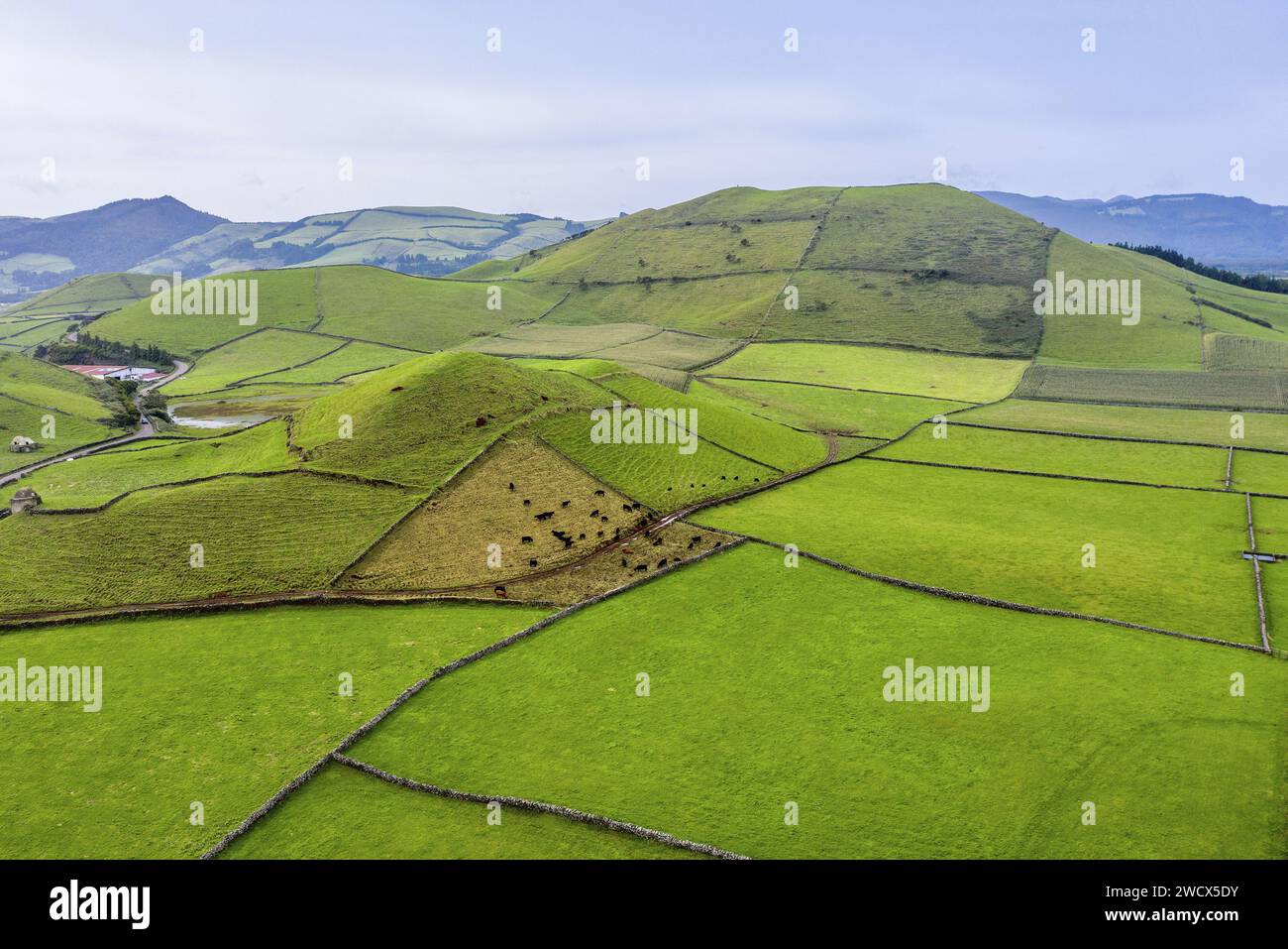 Portugal, archipel des Açores, île de Terceira, patchwork de pâturages verdoyants entourés de murs de pierres sèches au milieu d'anciens volcans Banque D'Images