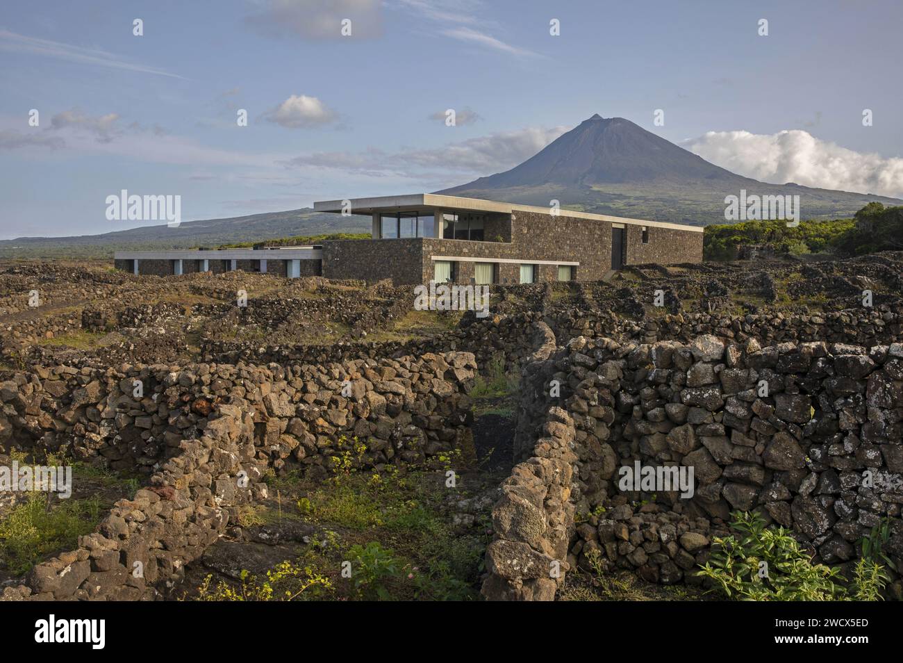 Portugal, archipel des Açores, île de Pico, entreprise vinicole des Açores, l'hôtel vinicole minimaliste en béton brut du vigneron portugais Antonio Maçanita, situé entre vignes et volcan Banque D'Images