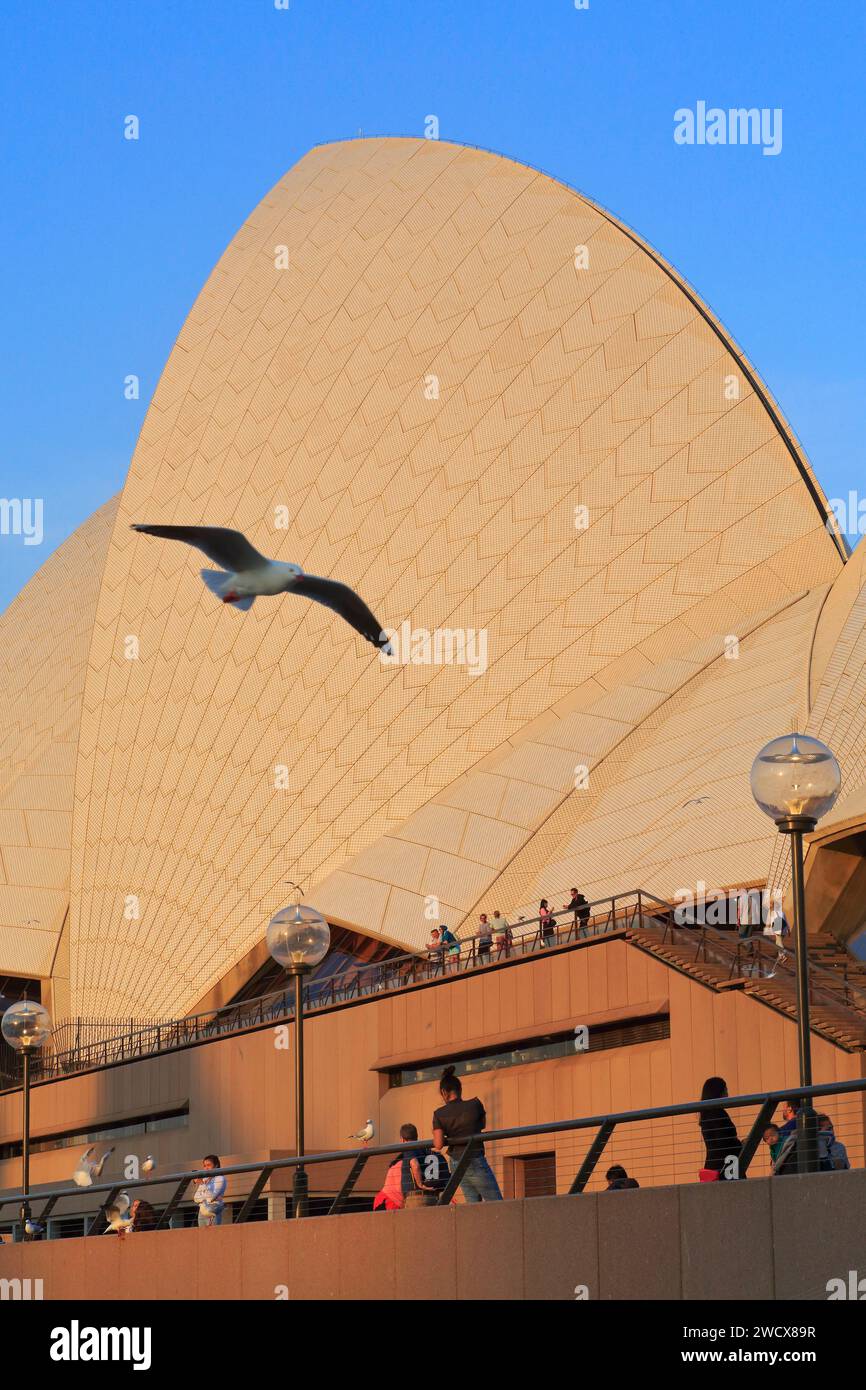 Australie, Nouvelle-Galles du Sud, Sydney, Bennelong point, Opéra (Sydney Opera House) conçu par Dane Jørn Utzon et inauguré en 1973 Banque D'Images