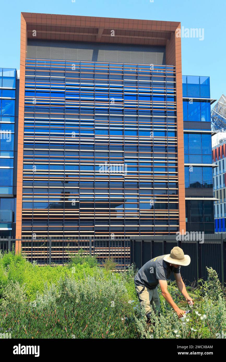 Australie, Nouvelle-Galles du Sud, Sydney, South Eveleigh, Community Building, toit vert avec la ferme Native Rooftop Banque D'Images