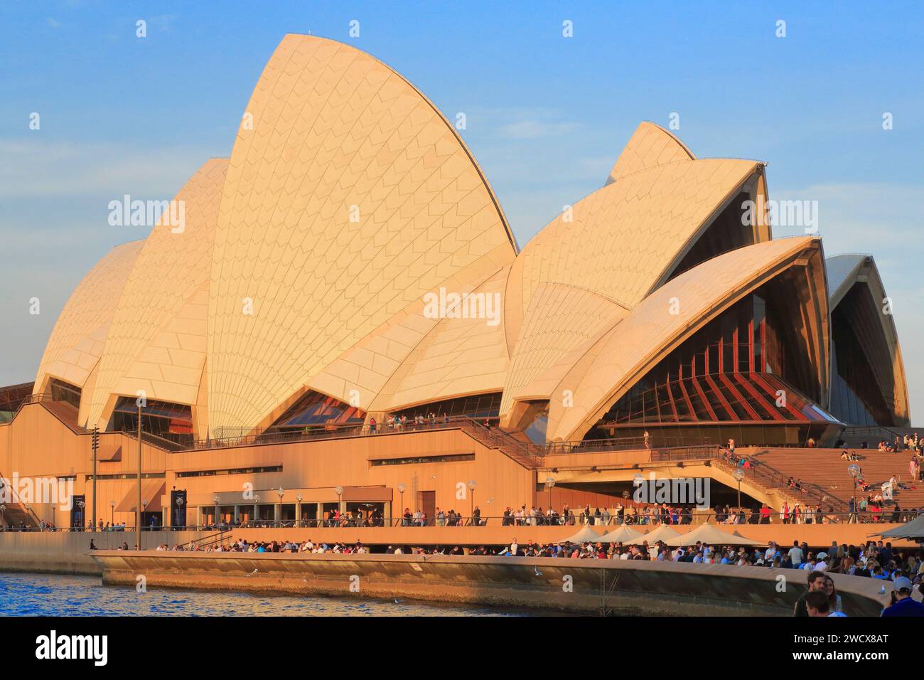 Australie, Nouvelle-Galles du Sud, Sydney, Bennelong point, Opéra (Sydney Opera House) conçu par Dane Jørn Utzon et inauguré en 1973 Banque D'Images