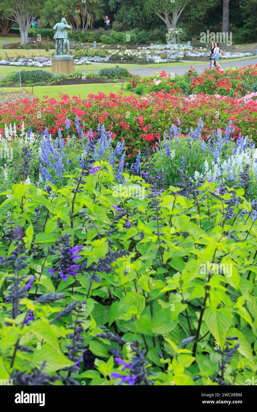 Australie, Nouvelle-Galles du Sud, Sydney, jardin botanique royal, jardin datant du début du 19e siècle Banque D'Images