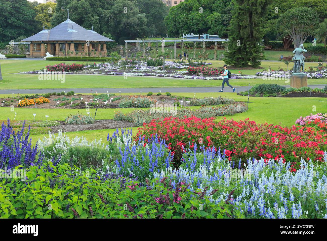 Australie, Nouvelle-Galles du Sud, Sydney, jardin botanique royal, jardin datant du début du 19e siècle Banque D'Images