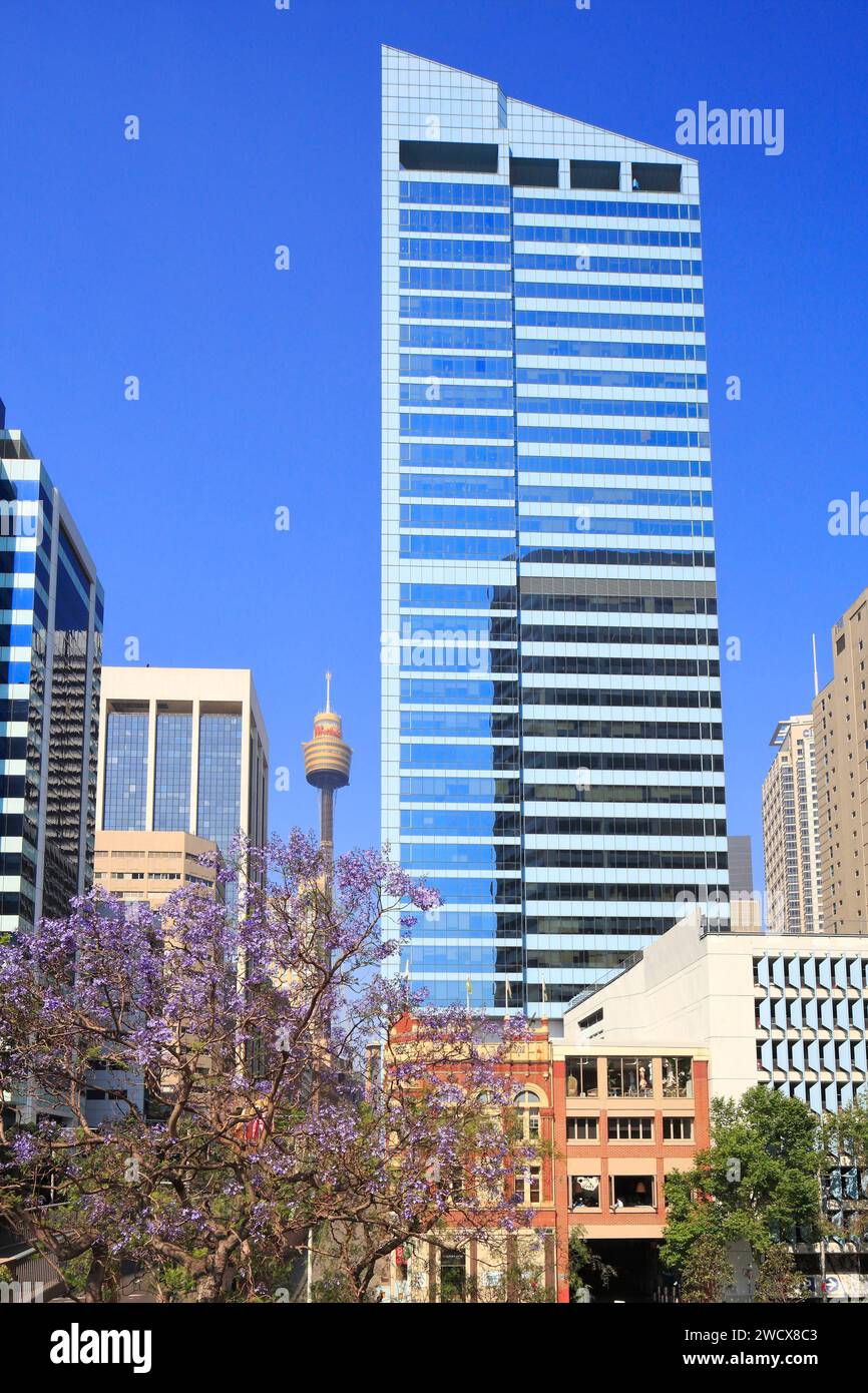 Australie, Nouvelle-Galles du Sud, Sydney, quartier central des affaires (CBD), Shebourne Hotel (1902) au pied d'un immeuble de bureaux avec la tour de Sydney (1981) au loin Banque D'Images