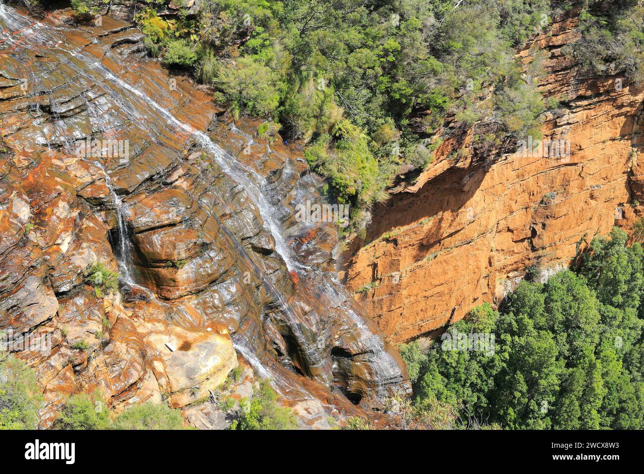 Australie, Nouvelle-Galles du Sud, Blue Mountains inscrit au patrimoine mondial de l'UNESCO, parc national des Blue Mountains, Katoomba, chutes de Wentworth, chute d'eau Banque D'Images