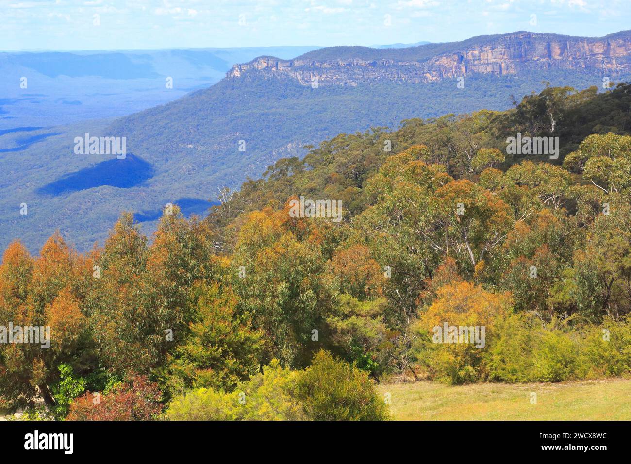Australie, Nouvelle-Galles du Sud, Blue Mountains inscrit au patrimoine mondial de l'UNESCO, Parc National des Blue Mountains, Katoomba, vue générale Banque D'Images