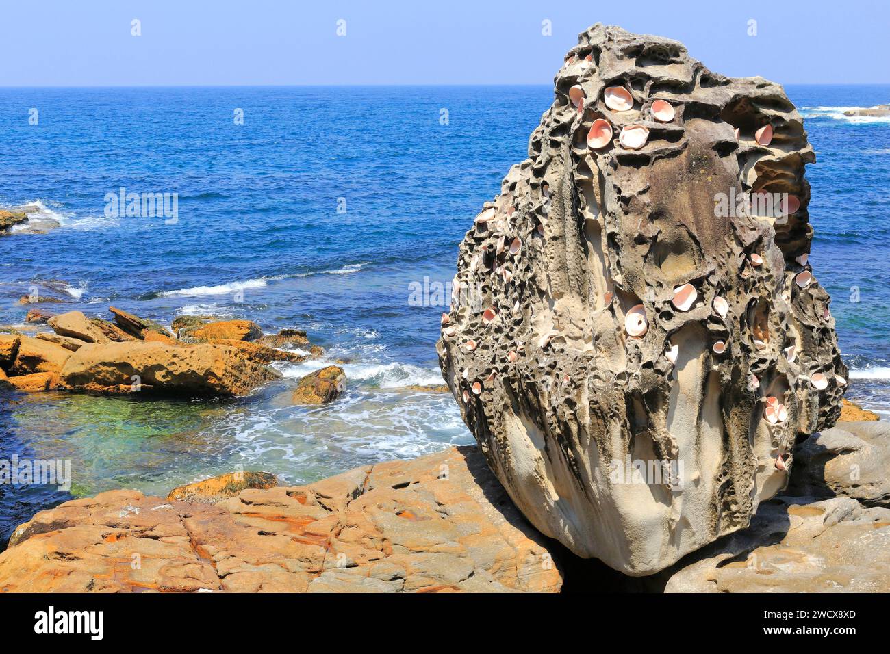 Australie, Nouvelle-Galles du Sud, Sydney, Bondi Beach, festival de sculpture en plein air Sculpture by the Sea, travail de Katie Stewart Split empreinte Banque D'Images