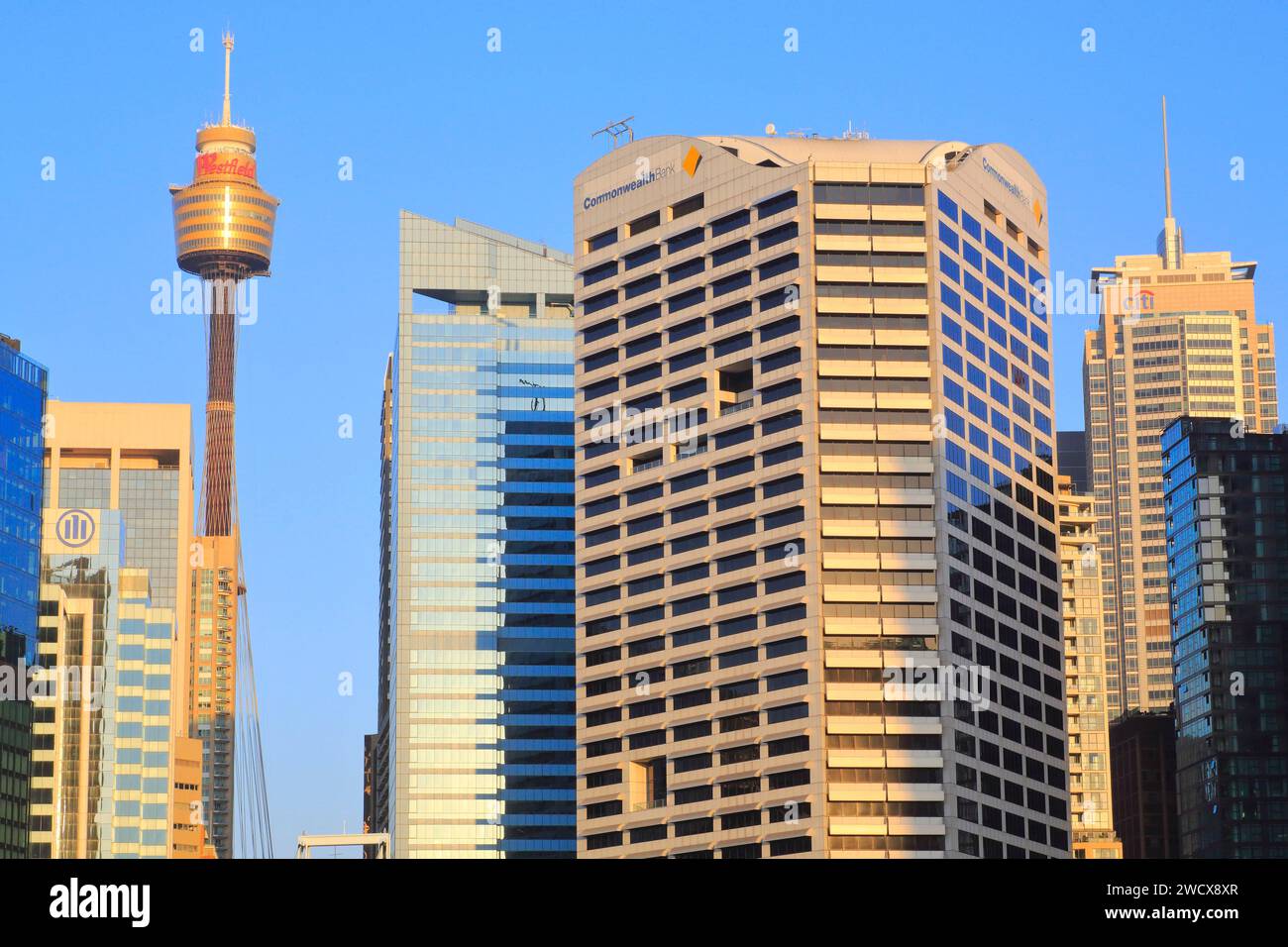 Australie, Nouvelle-Galles du Sud, Sydney, vue depuis Darling Harbor avec la tour de Sydney (1981) en arrière-plan sur le quartier central des affaires (CBD) Banque D'Images