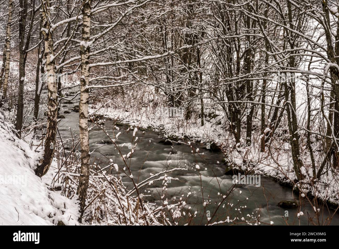 France, Auvergne-Rhône-Alpes, Savoie (département 73), Hauteluce, paysage hivernal dans la neige, ruisseau Dorinet Banque D'Images
