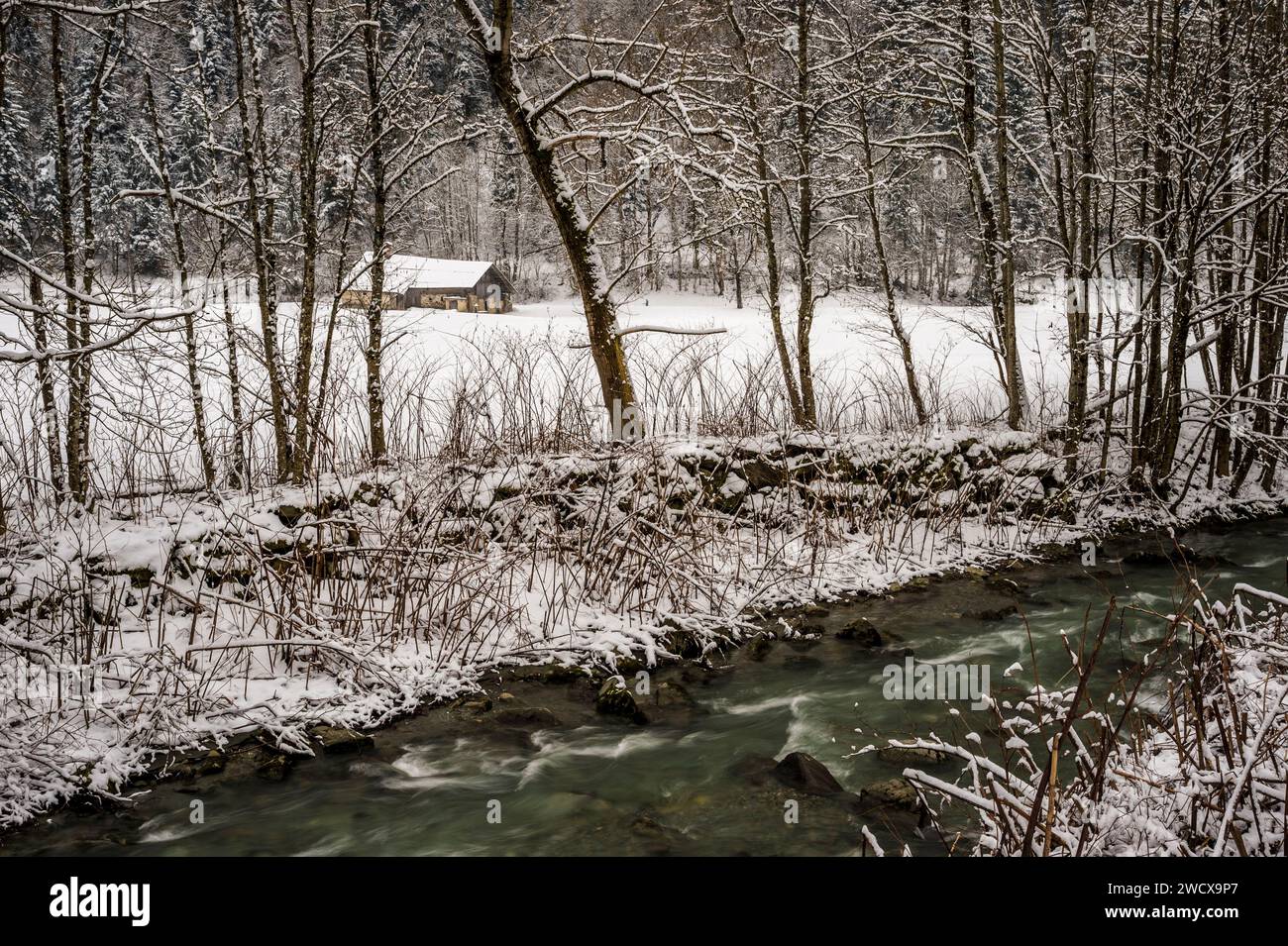 France, Auvergne-Rhône-Alpes, Savoie (département 73), Hauteluce, paysage hivernal dans la neige, ruisseau Dorinet Banque D'Images