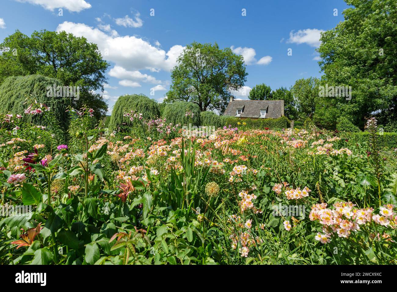 France, Dordogne, Périgord Noir, Salignac eyvigues, les jardins du Manoir d'Eyrignac labellisés Jardins remarquables recomposés Banque D'Images